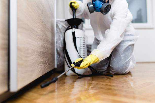 Best Pest Inspection Near Me  in Boise City, OK