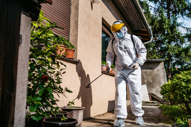 Best Pest Control Near Me  in Boise City, OK