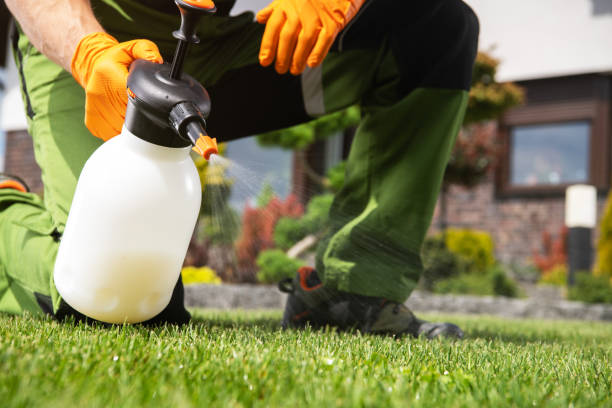 Best Emergency Pest Control  in Boise City, OK