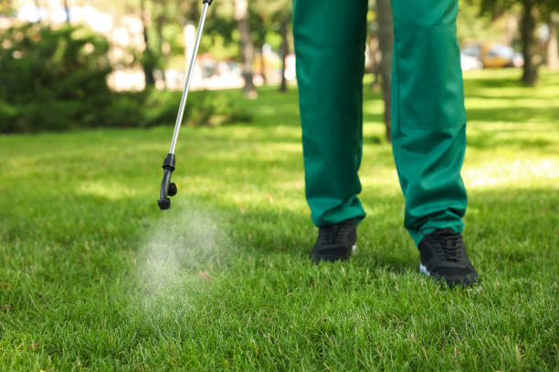 Best Ant Control Services  in Boise City, OK