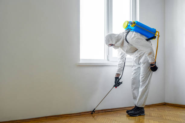 Best Local Pest Control Services  in Boise City, OK