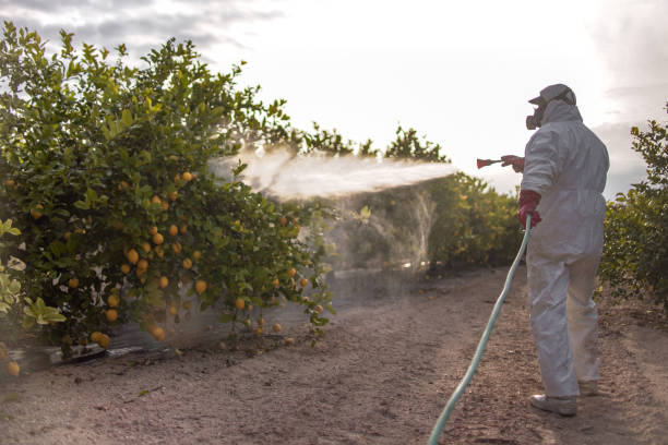 Best Commercial Pest Control Services  in Boise City, OK