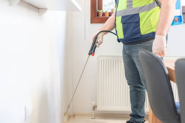 Professional Pest Control in Boise City, OK