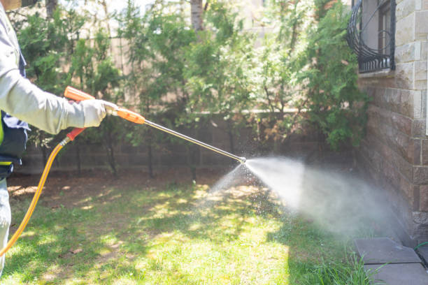 Best Wildlife Control Services  in Boise City, OK