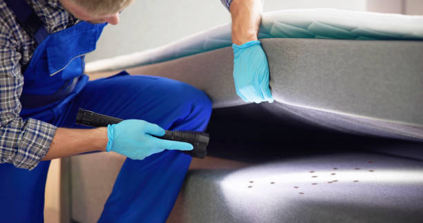 Best Pest Control Near Me  in Boise City, OK