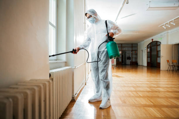 Best Pest Inspection Near Me  in Boise City, OK