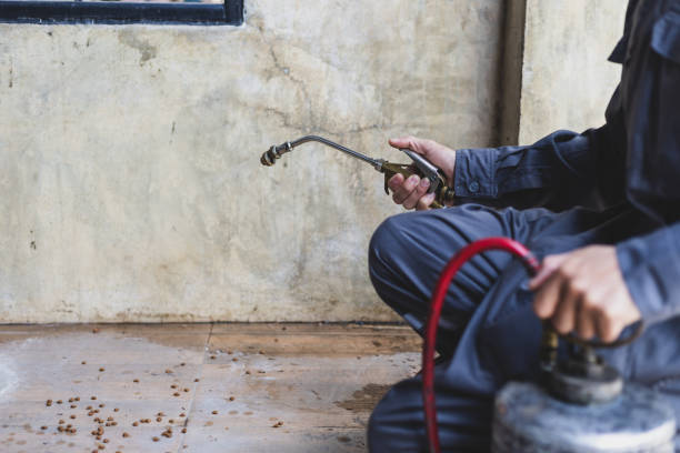 Best Pest Control for Homes  in Boise City, OK