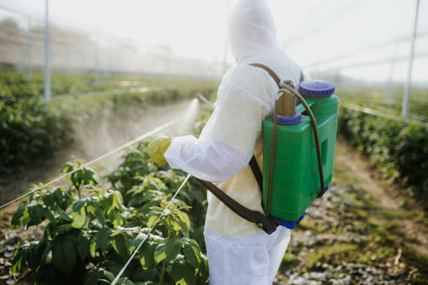 Best Pest Removal Services  in Boise City, OK